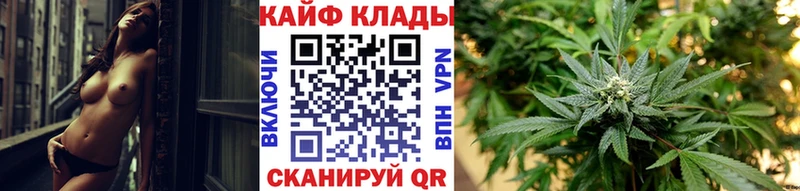 Магазины продажи наркотиков Димитровград Alpha PVP  Меф мяу мяу  Codein  гидра рабочий сайт  Cocaine 