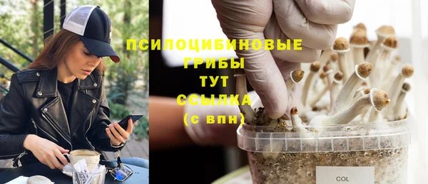бутират Верея