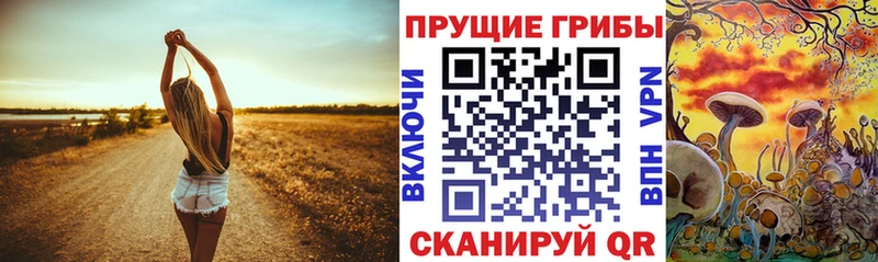 Псилоцибиновые грибы мухоморы  дарк нет наркотические препараты  Димитровград  где купить  